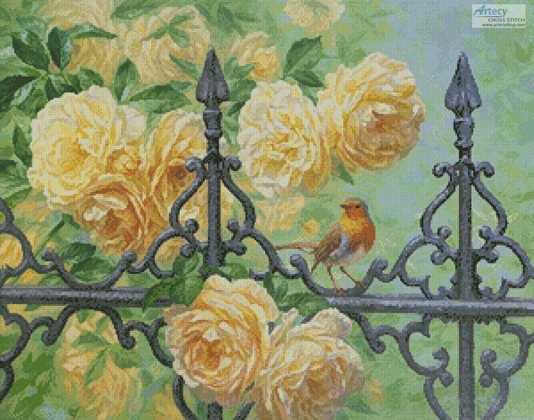 European Robin and Roses