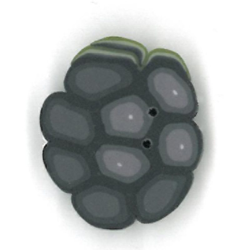 Black Raspberry - Small Black Raspberry - Small