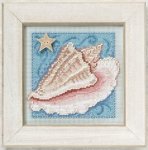 Conch Shell (2010)