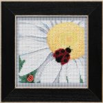 Ladybug on Daisy (2021)
