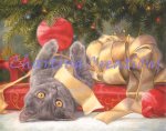 Christmas Surprise