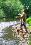 Fishing The Shallows