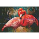 Flamingos