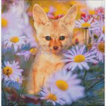 Fox In The Garden