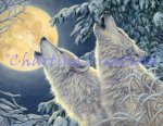 Moonlight