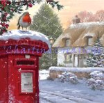 Robin On Postbox 2