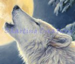 Snippet Moonlight