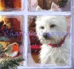 Snippet Westie Watching Robin