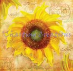 Tuscan Sunflower