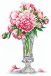 (image for) Peonies