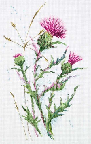 (image for) Thistle