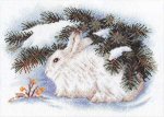 (image for) White Hare