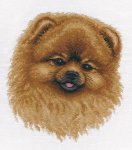 (image for) Spitz