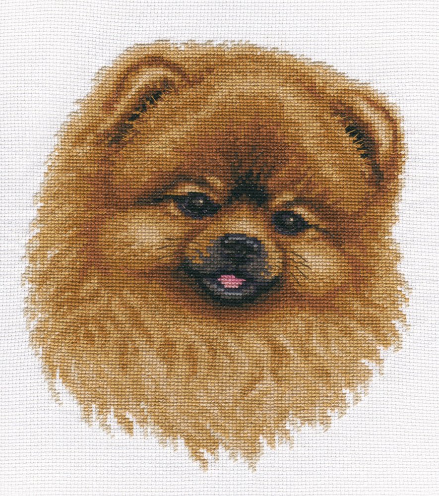 (image for) Spitz
