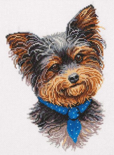 (image for) Yorkshire Terrier