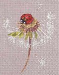 Split Seconds Of Summer - Ladybug (image for) Split Seconds Of Summer - Ladybug