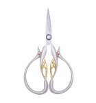 (image for) Embroidery Scissors - Vintage Silver With Gold