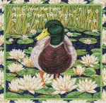 (image for) Duck in Waterlilies