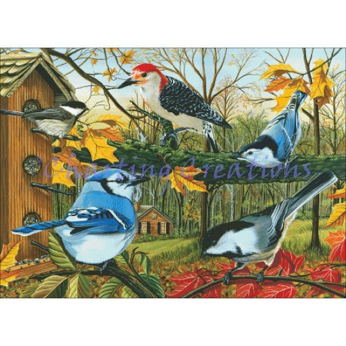 (image for) Backyard Feeder