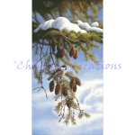 Chickadee (image for) Chickadee