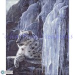 Crystal Palace (image for) Crystal Palace