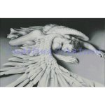 Icarus Fallen (image for) Icarus Fallen
