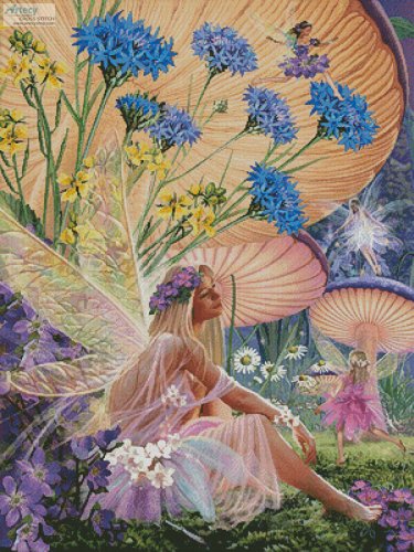 (image for) Fairy Ring - Daydreaming