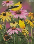 (image for) Golden Finches
