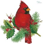 (image for) Mini Cardinal and Holly