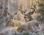 (image for) Mini Snowy Seclusion