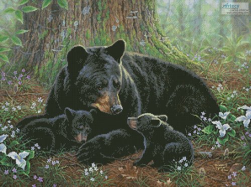 (image for) Tender Moments