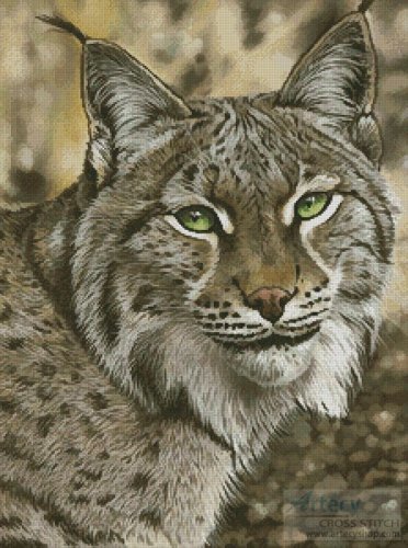 (image for) The Lynx Effect