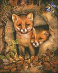 (image for) Fox Cubs