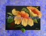 Yellow Hibiscus
