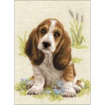 Basset Hound Puppy (10 Count)