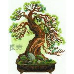 Bonsai Pine Wish Of Longevity(14 Count) Counted Cross Stitch Kit
