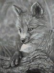 Fox Cub