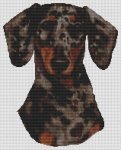Black Dappled Dachsund