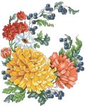 Chrysanthemums