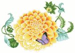 Classic Dahlia