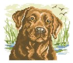 Labrador Big Stitch