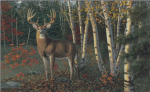 Autumn Sentinel