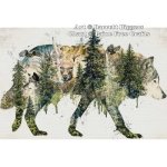 Walk With Wolves