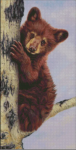 Cinnamon Girl