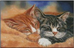 Companionship