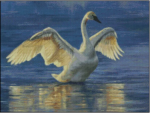 Coming in for a Landing