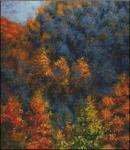 Cove Creek View