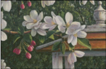 Crabapple Flowers