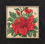 Hibiscus (2019)