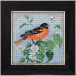 Baltimore Oriole (2020)